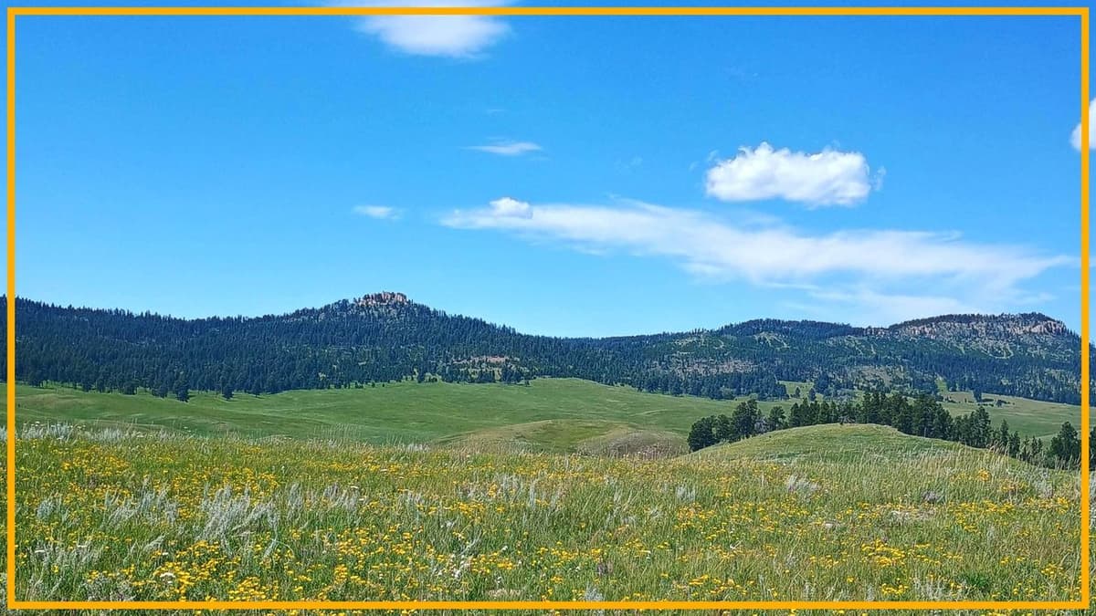 Drilling Has Begun at Our Sacred Site Pe' Sla, Setting a Dangerous Precedent for Indigenous Lands Across the Country. It...
