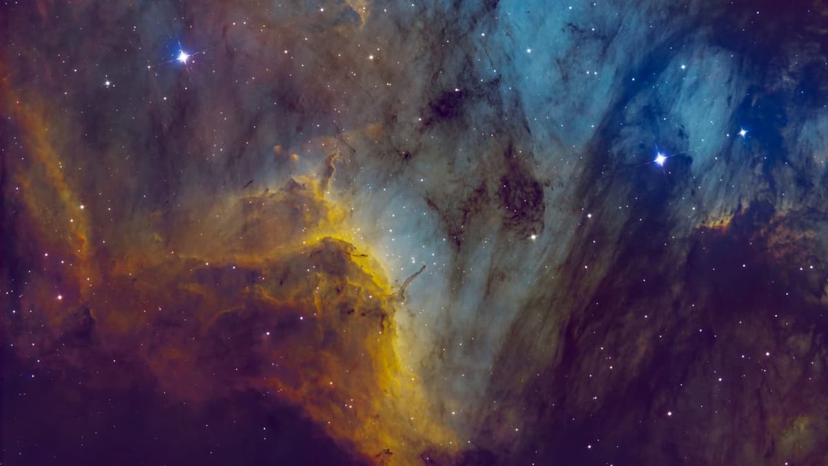 The Pelican Nebula Shines Near the Las Vegas Strip in Gorgeous Deep Space Photo