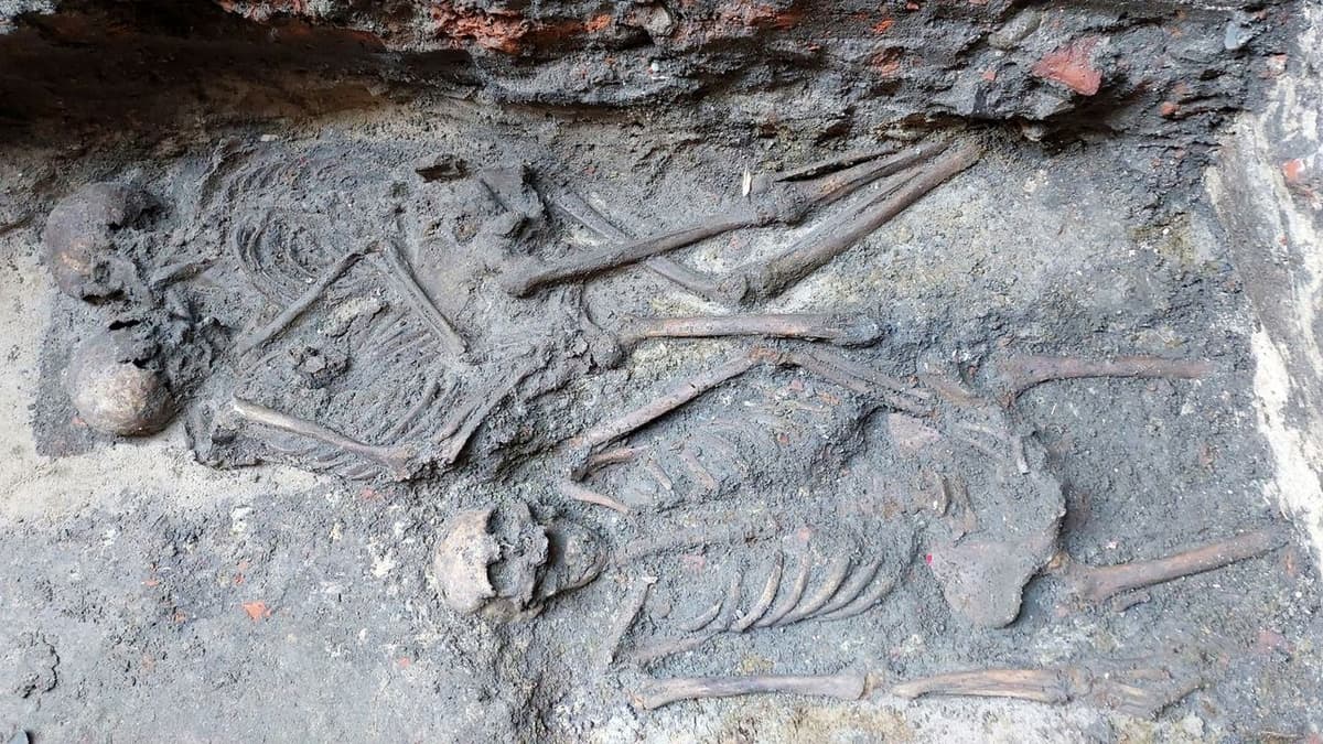 800-Year-Old 'Hugging Skeletons' Are Genetically Confirmed as Poland's only Medieval Same-Sex Double Burial