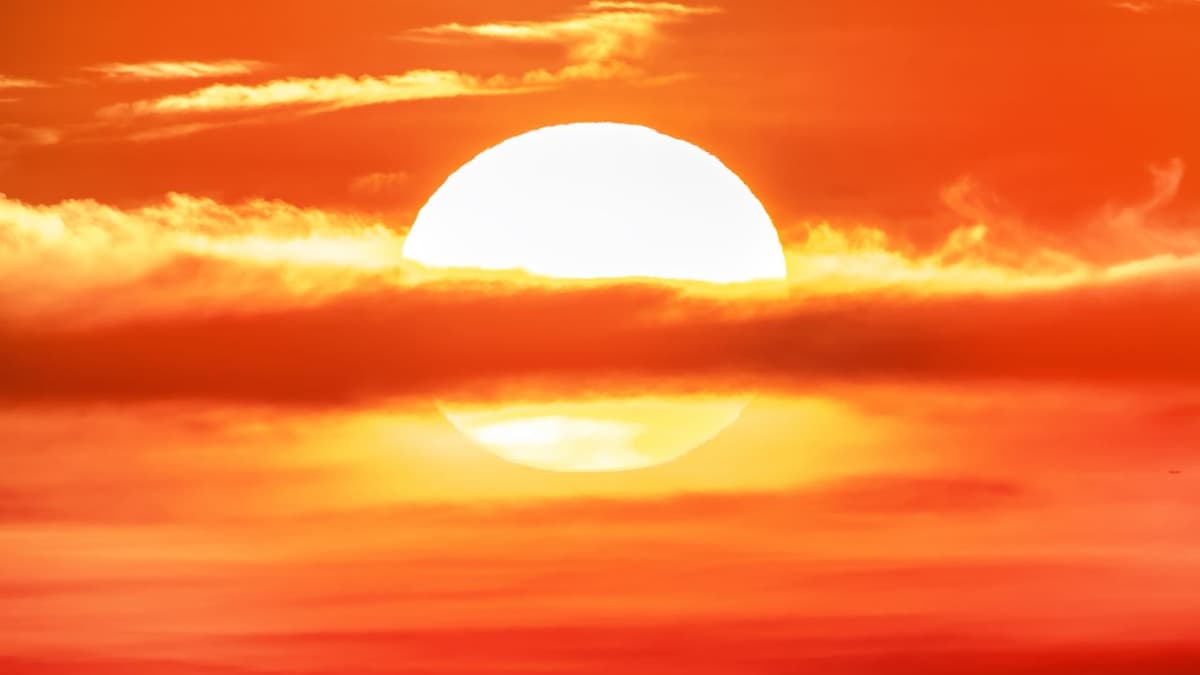 'One of the Most Rapid Transitions that I've Seen': NOAA Forecaster on How This Year's El Niño Could Shatter Records