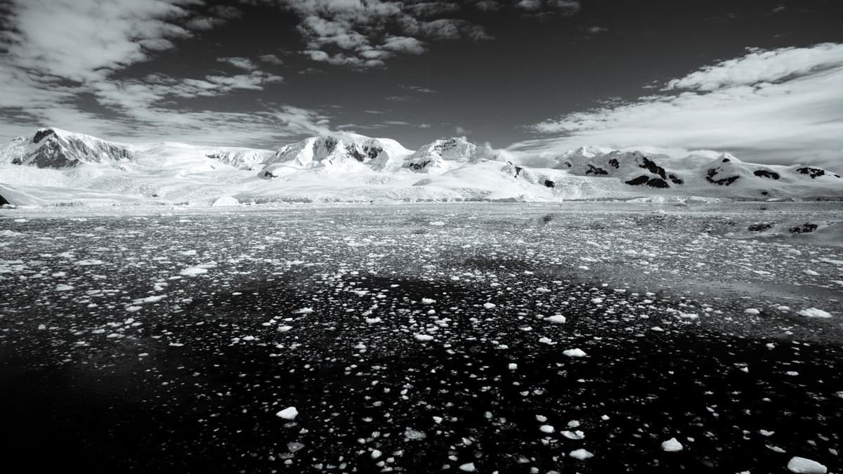 A Texas-Size Chunk of Winter Sea Ice Is Missing From Antarctica — and It's Probably Not Coming Back