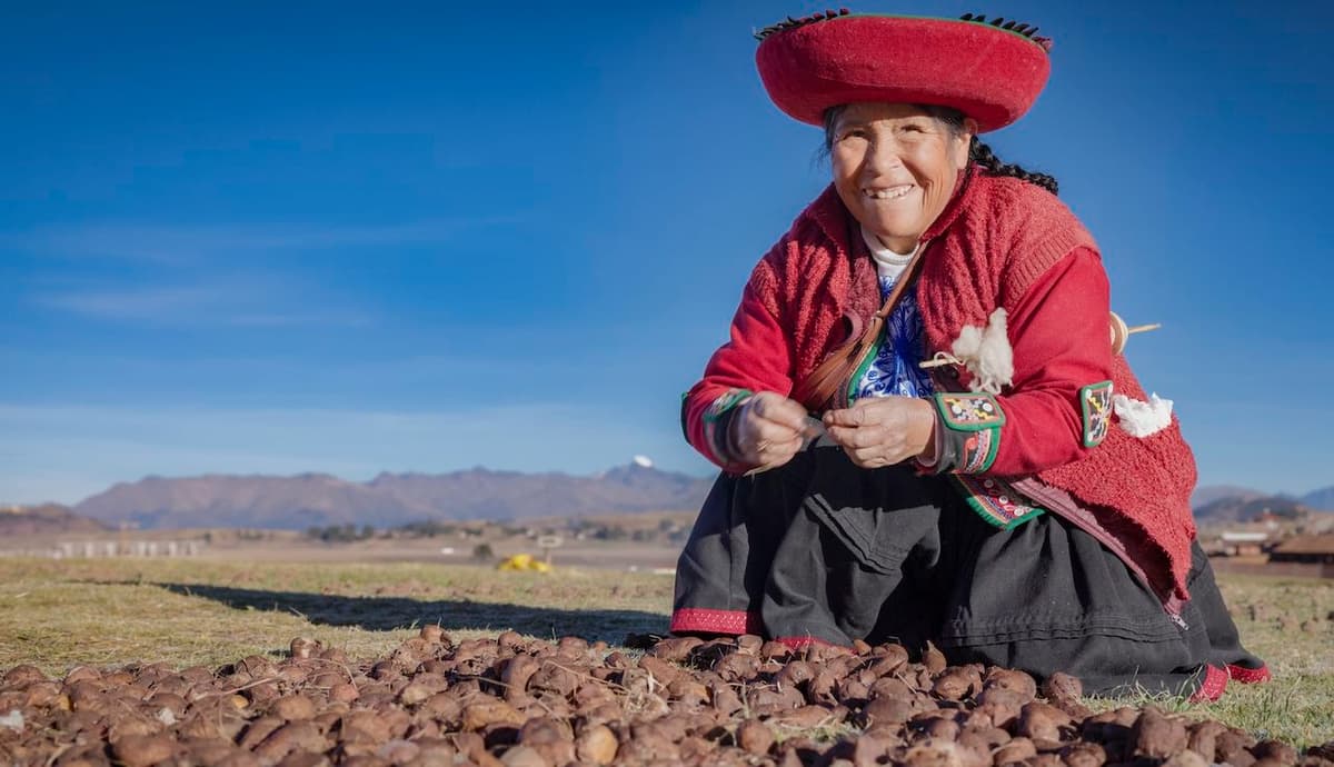 Thanks to Natural Selection, Indigenous Andeans May Digest Potatoes Better than Anyone Else in the World, Study Finds