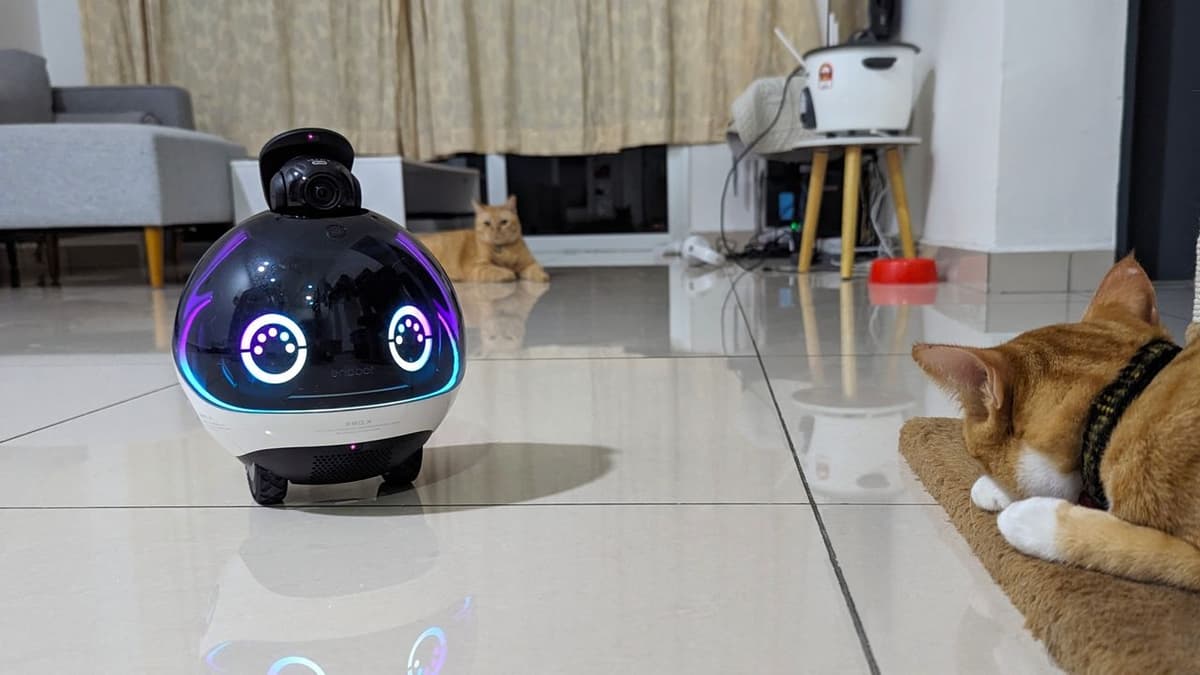 The Enabot EBO X Continues to Be My Favorite Alexa-Powered Pet Companion Robot on Wheels