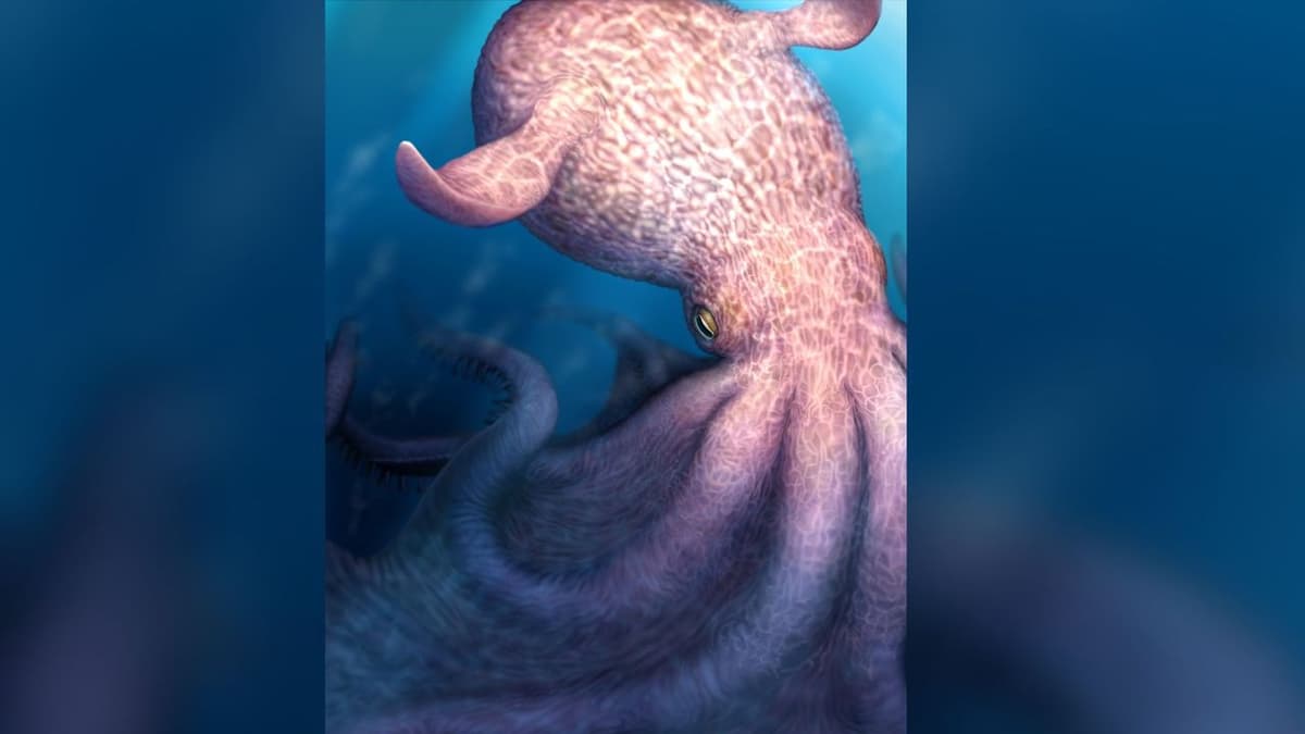 'Kraken' Octopus that Lived at the Time of the Dinosaurs Was a 62-Foot-Long Apex Predator of the Ocean