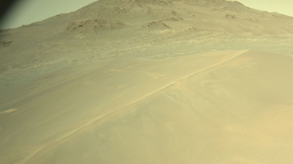 NASA Perseverance Rover Sees Megaripples on Mars | Space Photo of the Day for Jan. 7, 2026.