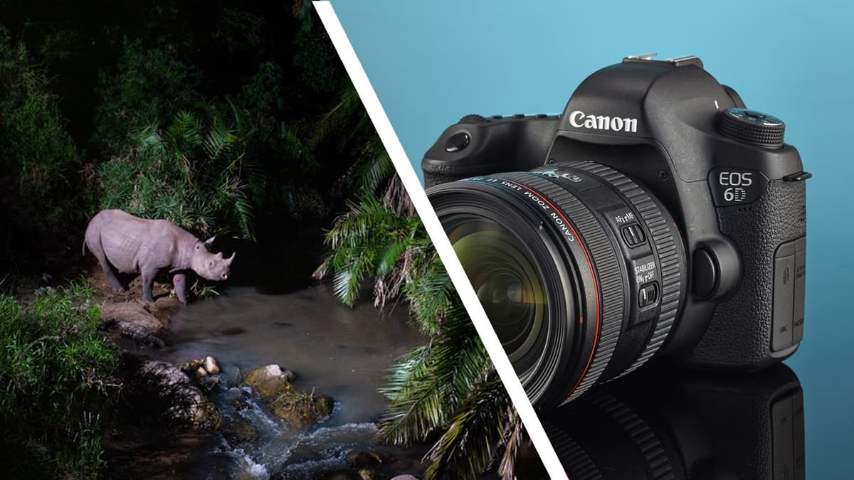 'I Snap Them Up' — Award-Winning Wildlife Photographer Explains Why He Collects Second-Hand DSLRs for His Unique 'Camtraptions' Devices, and...