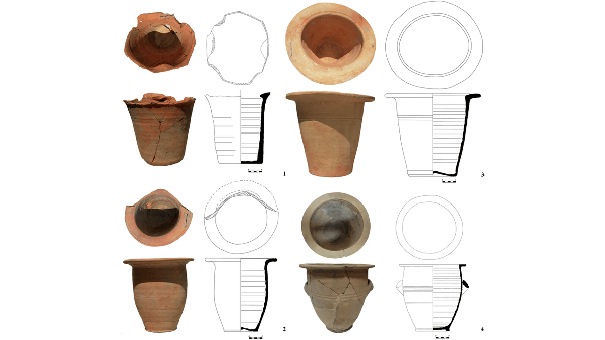 Poop-Encrusted Chamber Pots From the Roman Empire Reveal Oldest Known Human Cases of Crypto Parasite