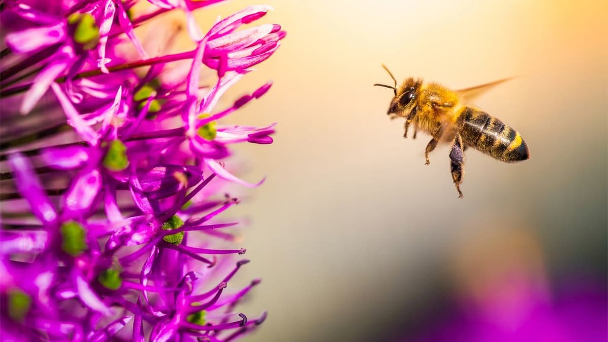 We've All Heard the Buzz About Roth Conversions, But Not Everyone Will Like the Reality