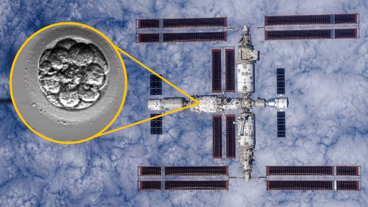 China Launches 'Human Artificial Embryos' To Space in Bid to See Whether Reproduction Is Possible Off-World