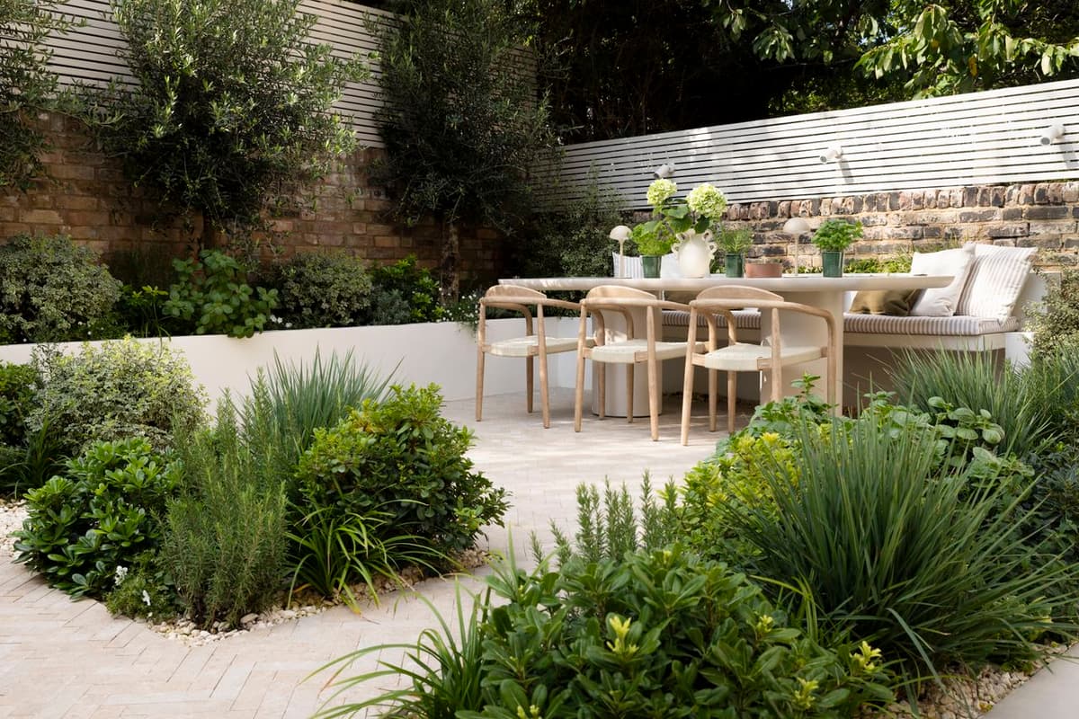 How to Make an Olive Tree Look Expensive in a Garden — Advice From a Designer Who Nailed the Elevated...