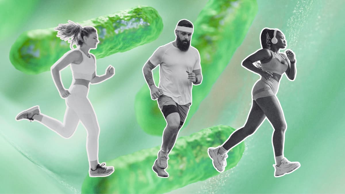 Can a Healthier Gut Mean Better Fitness and Performance? New Research Suggests a Link That Only Appears in Men.
