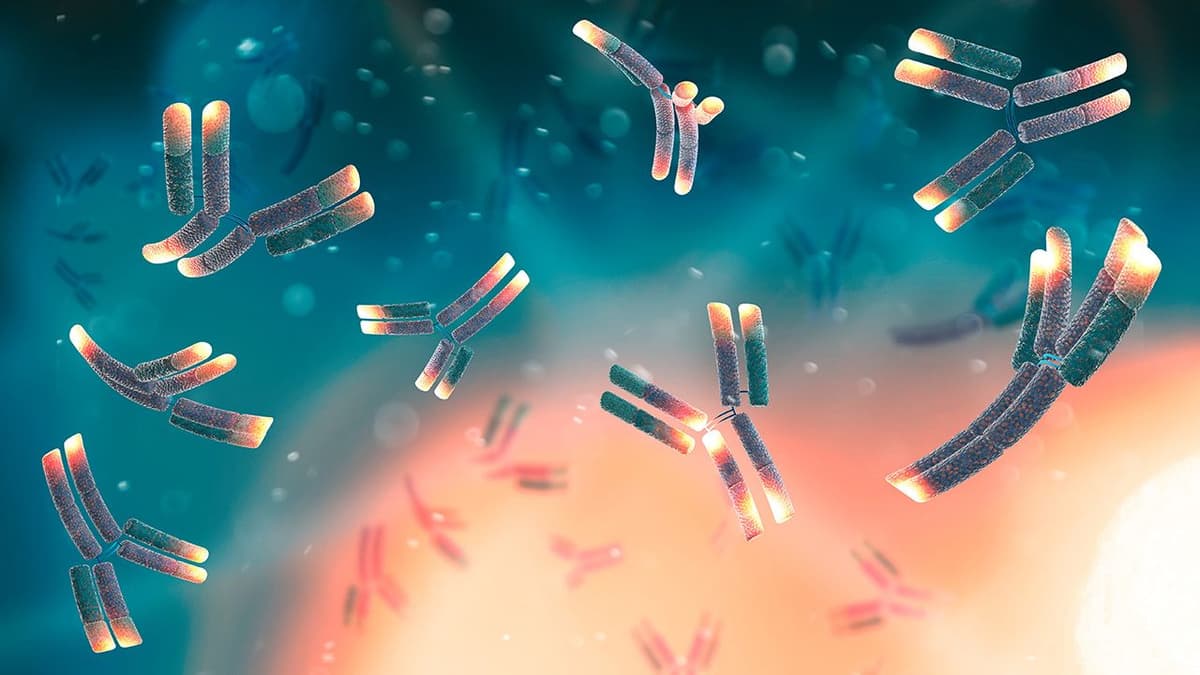 Henlius and Organon Gain EC Approval for Pertuzumab Biosimilar