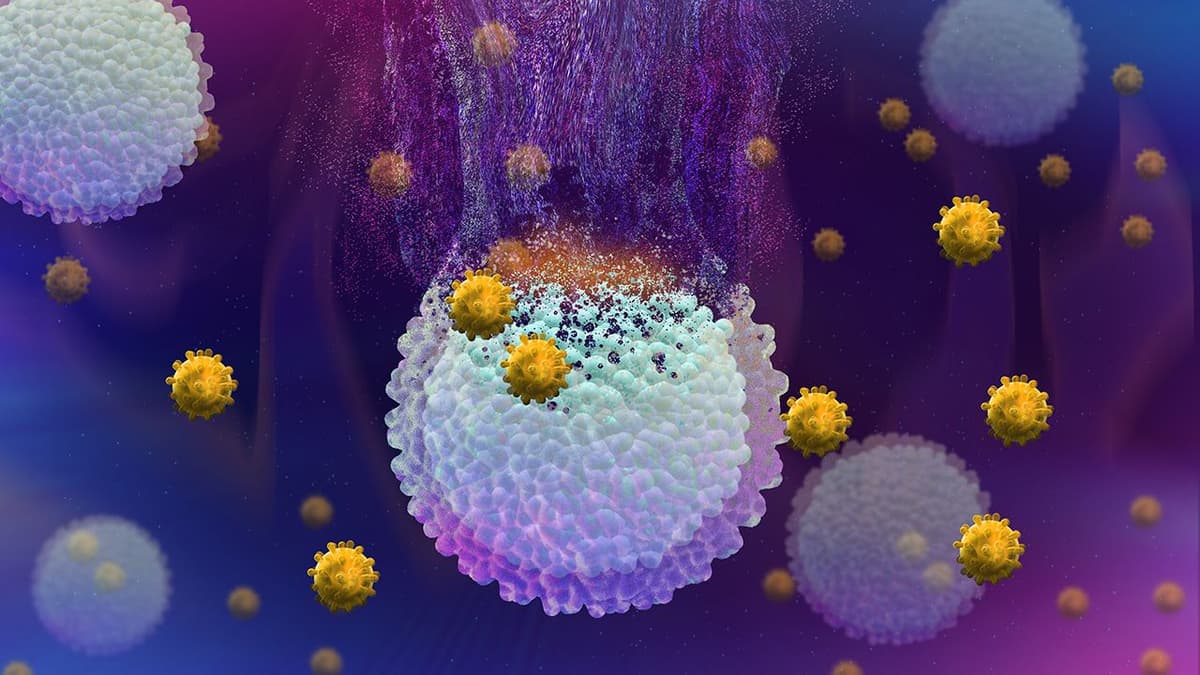 LTZ Therapeutics Secures $38M to Advance Myeloid Engager Immunotherapy Pipeline