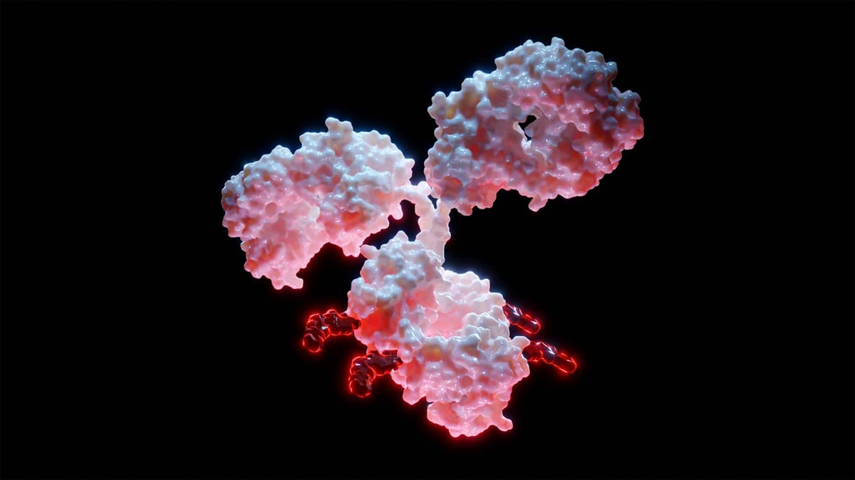 Alphamab Oncology to Present Phase 1 Data on Bispecific ADC JSKN016 in HER2-Negative Breast Cancer at ASCO 2026