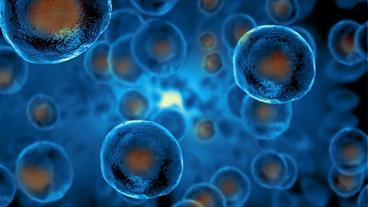 FUJIFILM Irvine Scientific Becomes FUJIFILM Biosciences