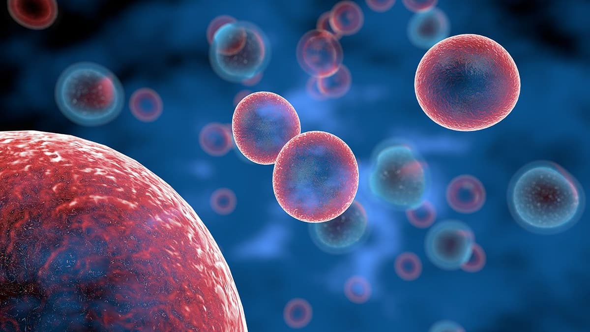 Single-Use Systems Enable Commercial-Scale CGT Manufacturing