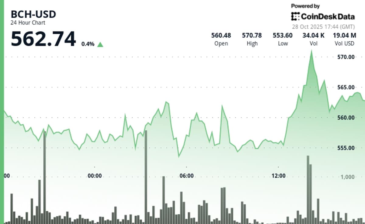Bitcoin's Offshoot, BCH, Edges Up 1% to Challenge Downtrend