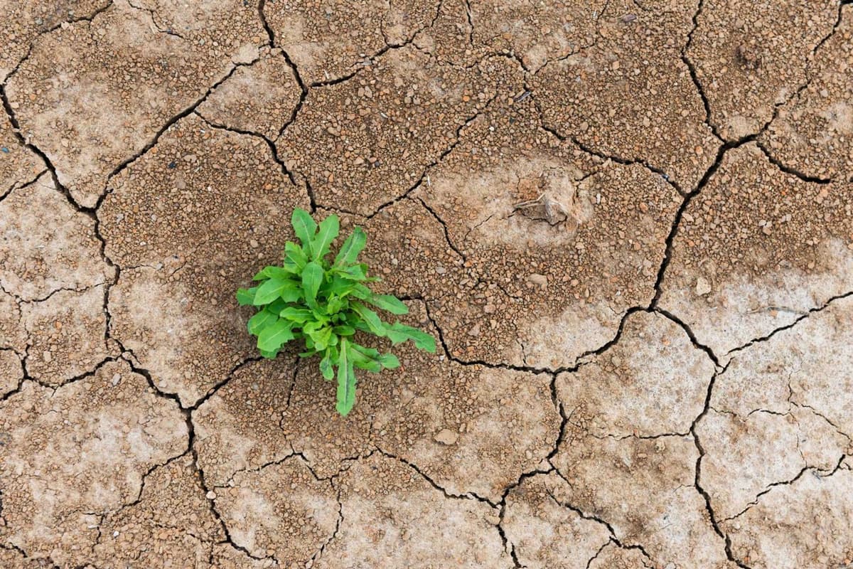 DeFi’s Shakeout Is a Stress Test, Not a Death Sentence