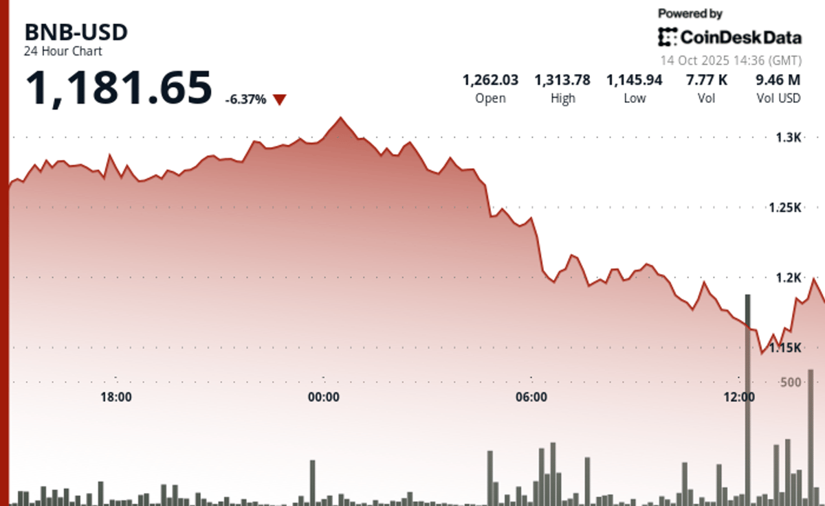 China Renaissance Aims to Raise $600M for BNB-Focused Public Crypto Treasury