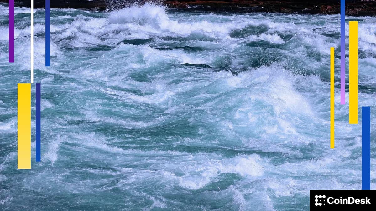 XRP and Solana Volatility in 2025 Was Twice as Bumpy as Bitcoin's