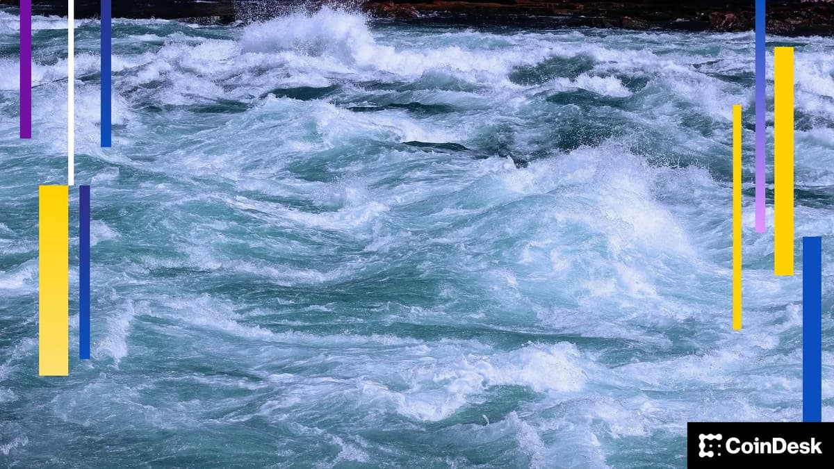 XRP and Solana Volatility in 2025 Was Twice as Bumpy as Bitcoin's