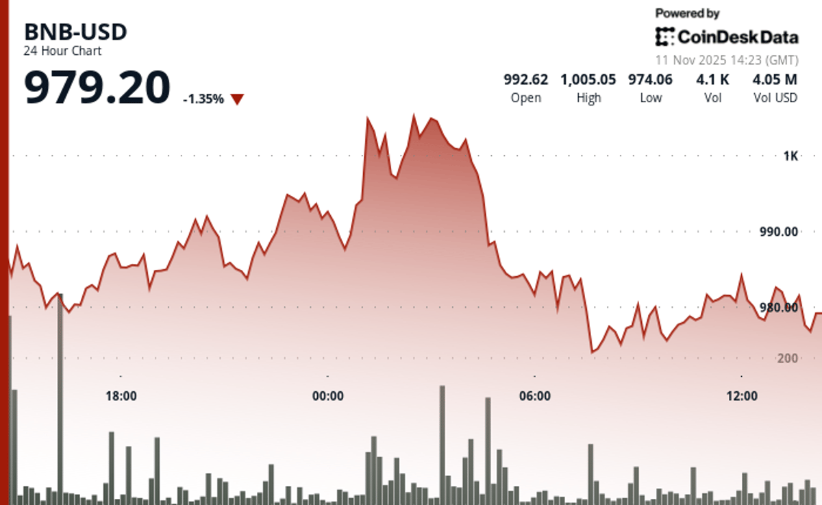 BNB Slips Below $1,000 as Selling Pressure Pushes Token Into Bearish Territory