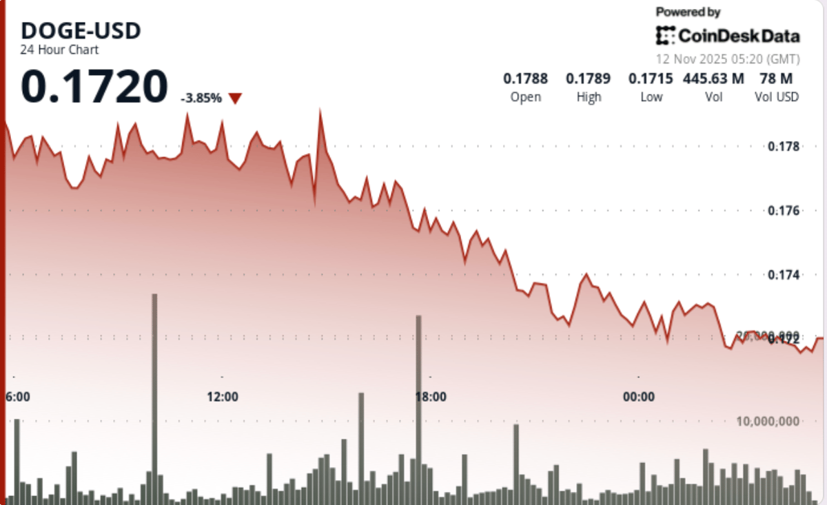 Dogecoin Near Make-or-Break Zone as Fresh Bitcoin Slide Pulls Down Majors by 5%