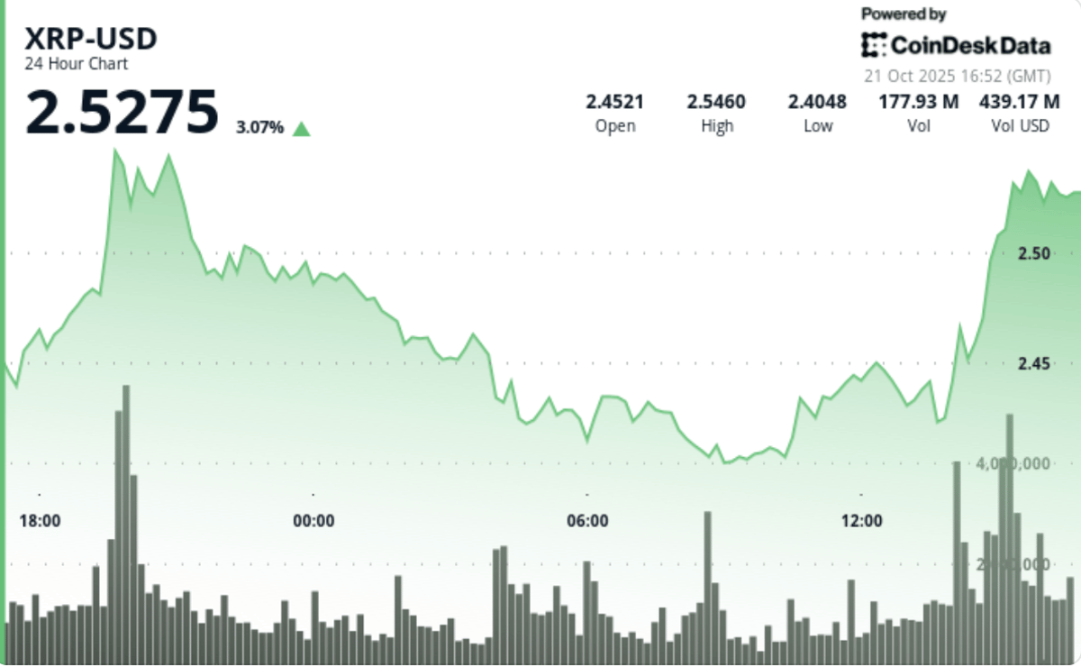 Ripple Pursuing $1 Billion Capital Raise to Support Institutional Demand for XRP