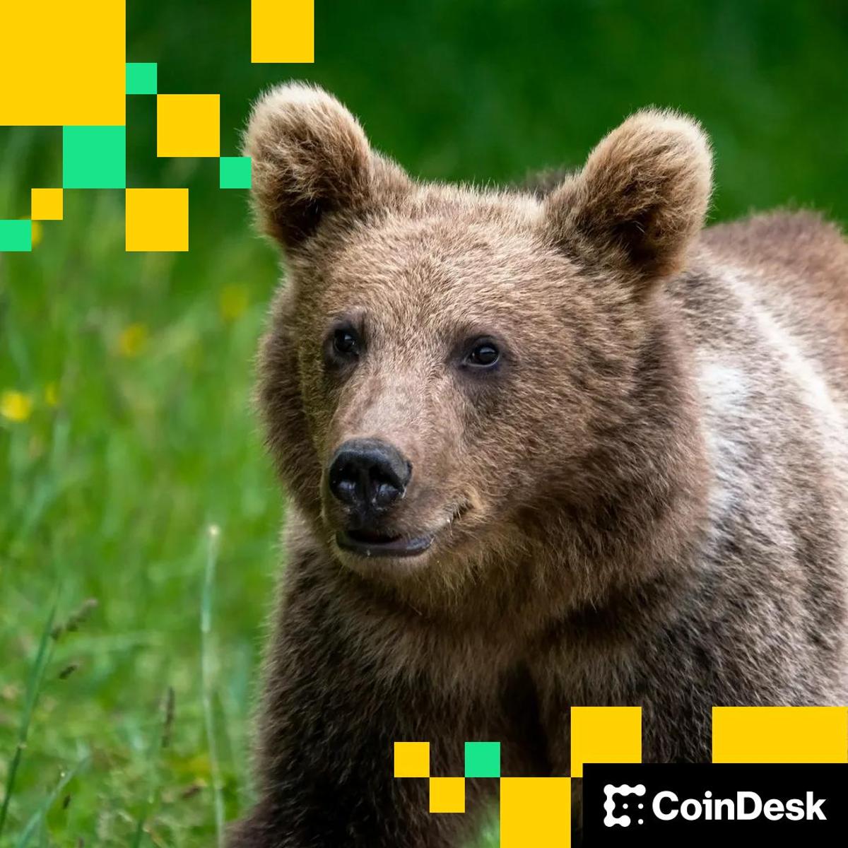 Strive (ASST) Acquiring Semler Scientific (SMLR) as Bitcoin Treasury Plays Struggle