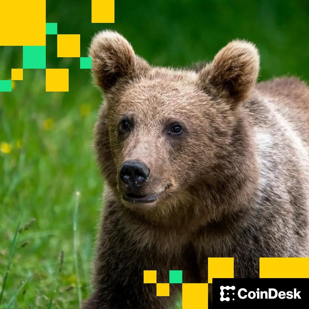 Strive (ASST) Acquiring Semler Scientific (SMLR) as Bitcoin Treasury Plays Struggle