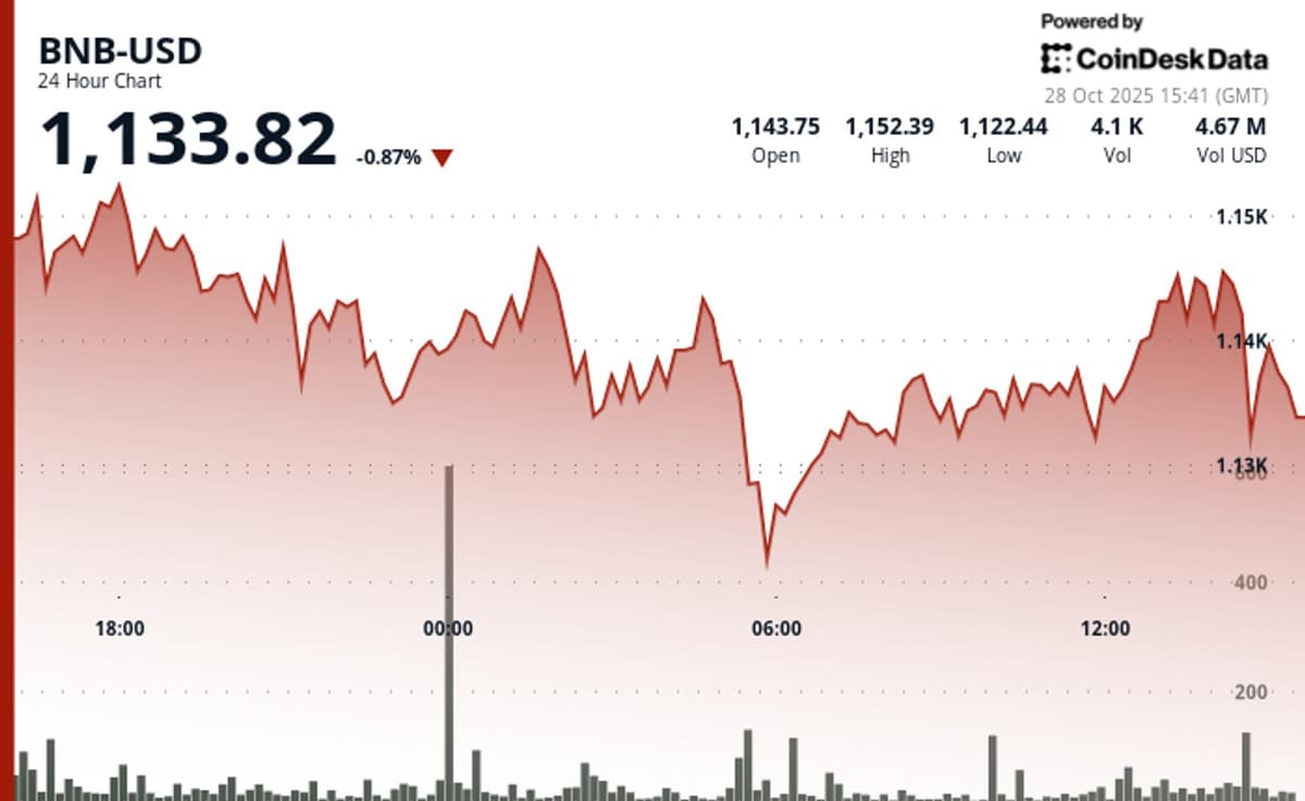 BNB Drops After $1.65B Token Burn, Eyes Resistance Near $1,150