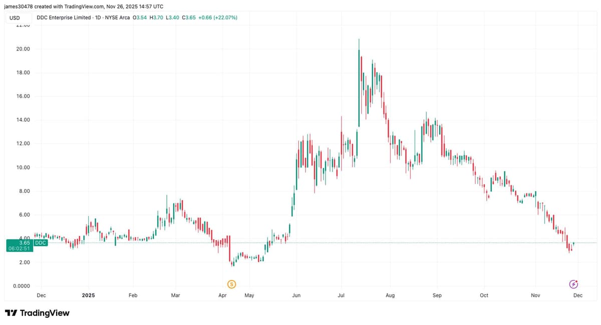 Bitcoin Treasury Firm DDC Jumps 22% as Company Adds 100 BTC to Treasury During Market Pullback