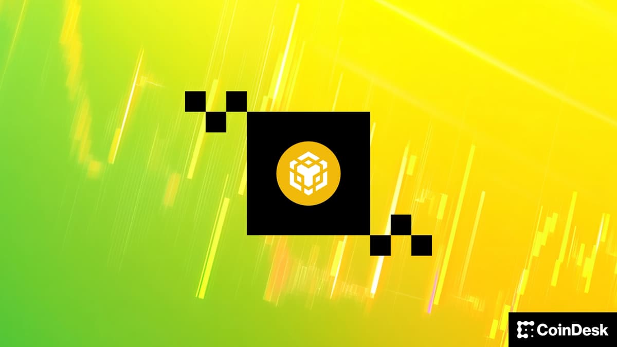 China Renaissance Seeks $600M to Create Public BNB Treasury with YZi Labs