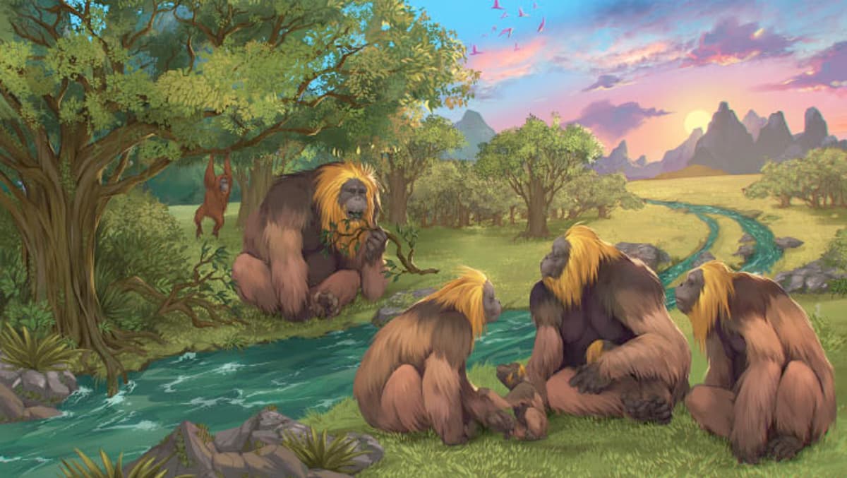 Fossils From Chinese Cave Fill Crucial Gap in History of Gigantopithecus Blacki