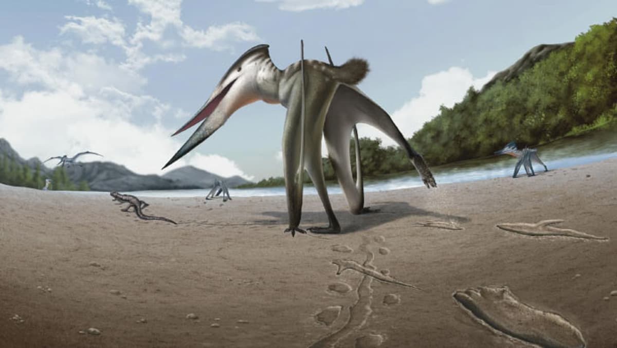 106-Million-Year-Old Pterosaur Footprints Discovered in Korea