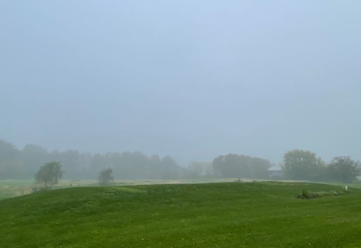 Tiny Bacteria in the Fog May Be Helping Clean the Air