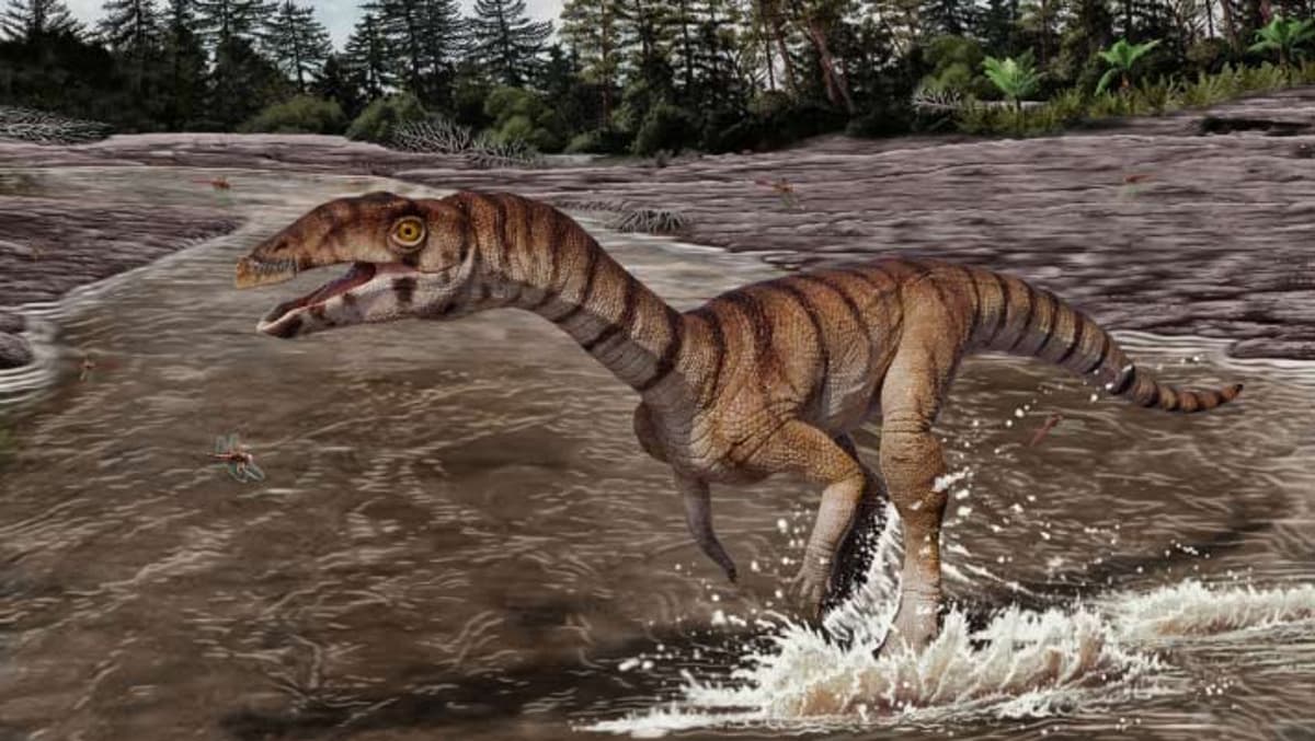 Toothless, Bipedal Crocodile Relative Lived in New Mexico 212 Million Years Ago