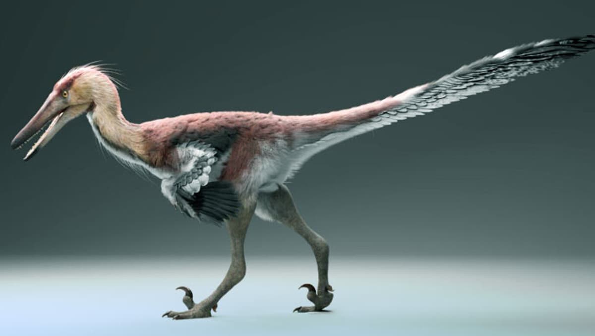 New Dinosaur Species From Argentina May Have Specialized in Catching Fish