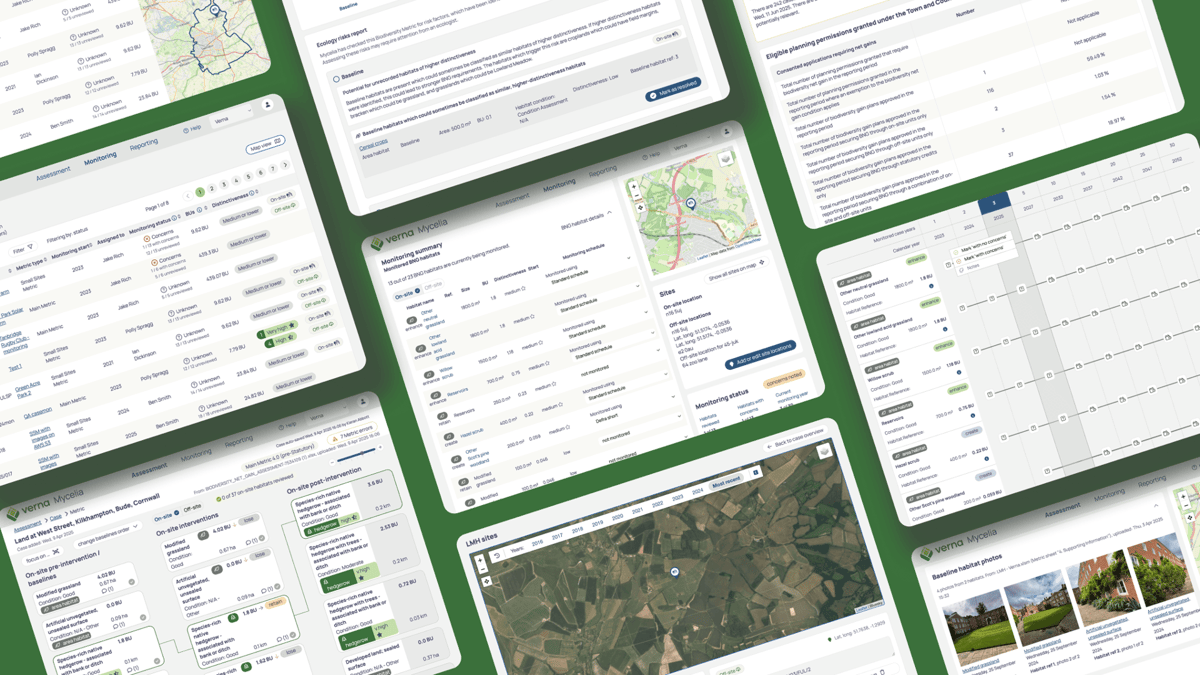 Verna Raises $4M to Turn Nature Programs Into Measurable Action