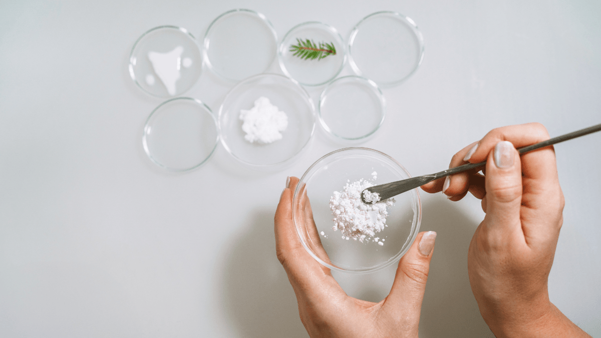 Inter IKEA Group Backs Seprify’s €13.4M Series A to Scale Cellulose Materials Platform