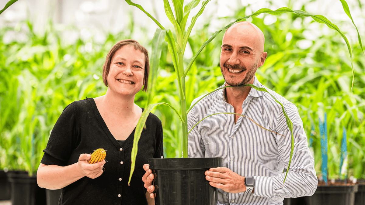 Rainbow Crops Secures $10.7M Seed Funding to Scale AI-Powered Crop Engineering
