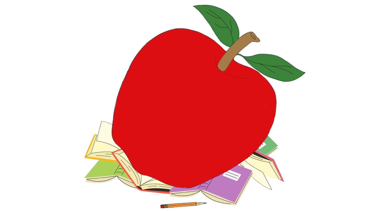 A Mediocre Public-School Education for Just $40,000 a Pupil