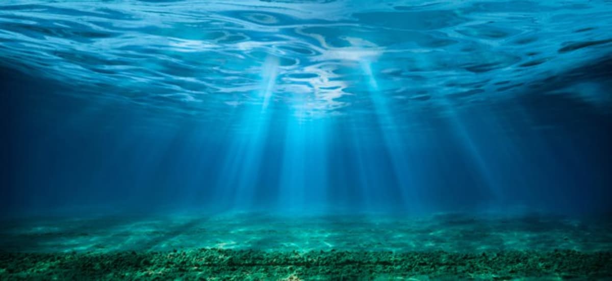 Navy Awards $349M Unmanned Maritime Support Contract
