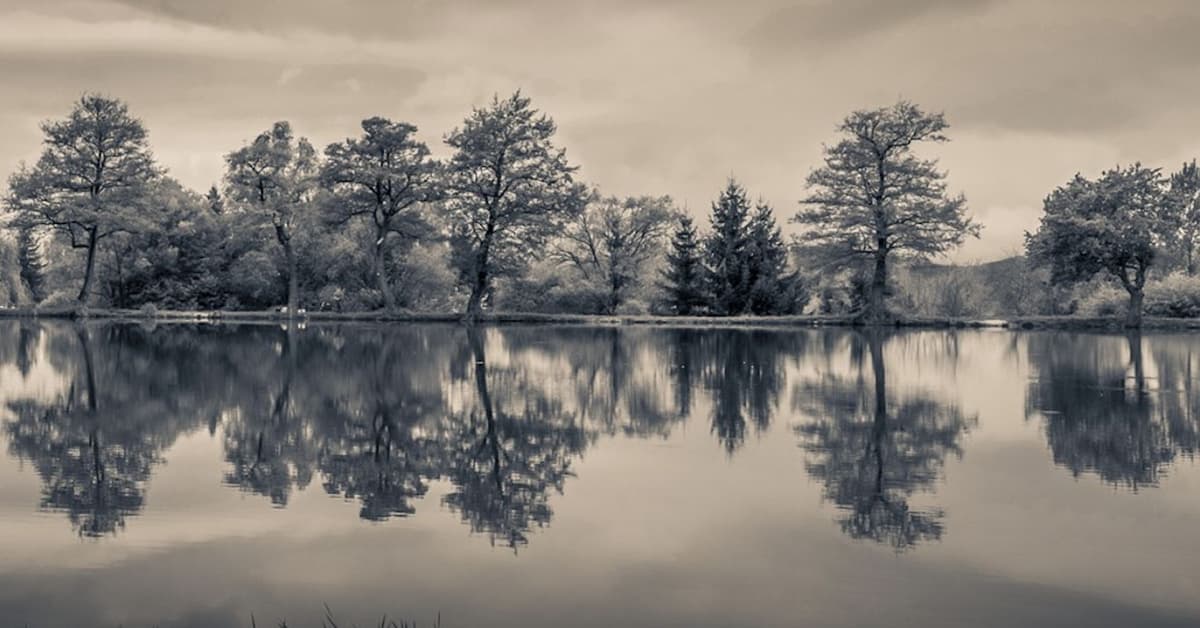 The Action Potential of Achievement