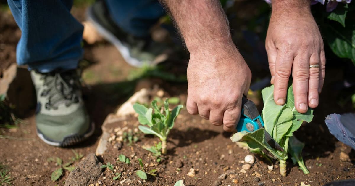 Find Your Garden: The Resources Within Us