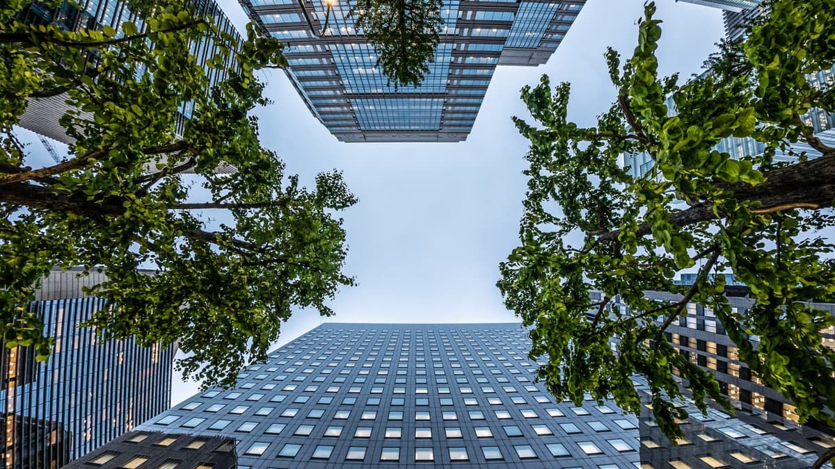 Working with the Value Chain Is Key to Innovation