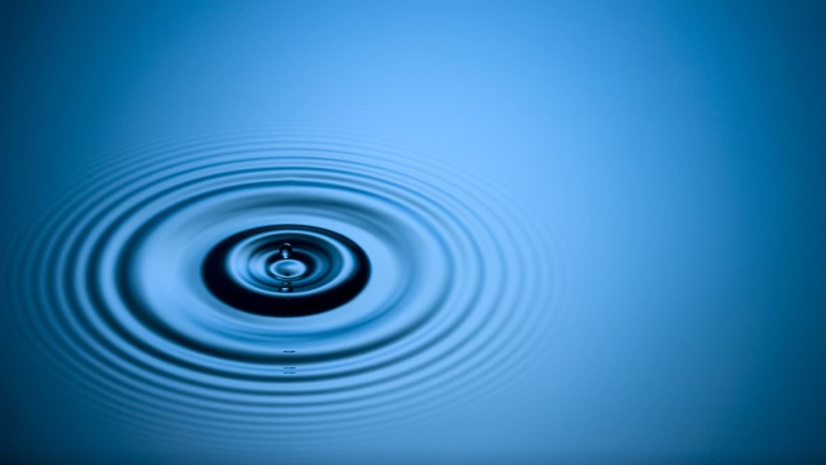 How Contractors Can Demonstrate Their Commitment to Water Conservation