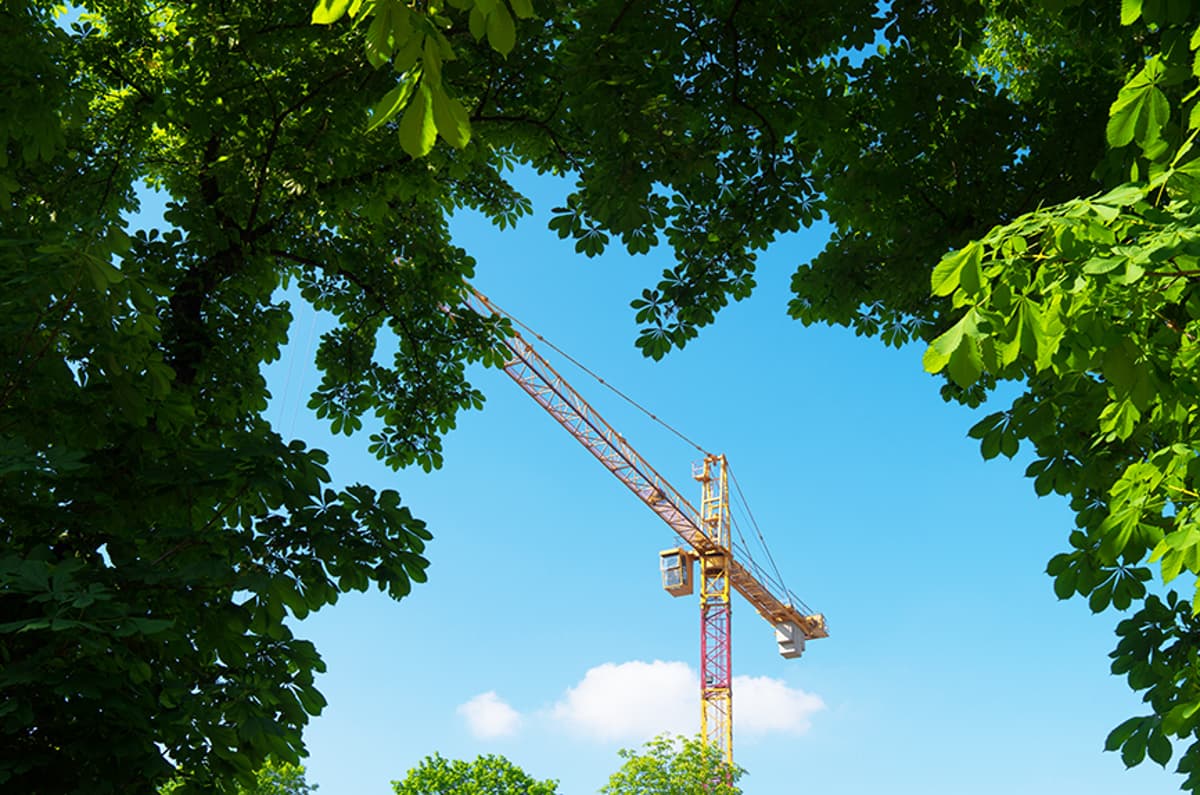 ‘Sustainability Is for the Client and Design Team to Consider’