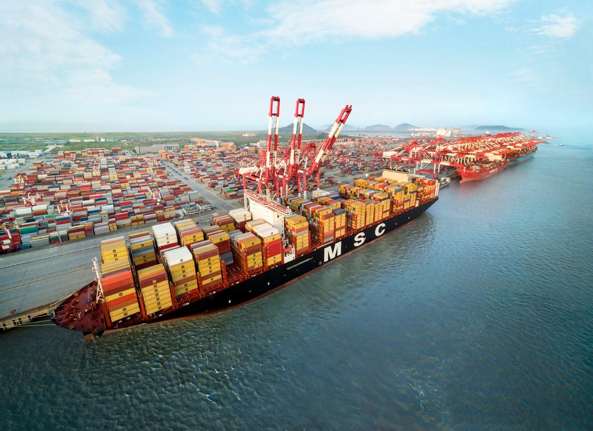 MSC Adds Napier Call to Eagle Service Rotation