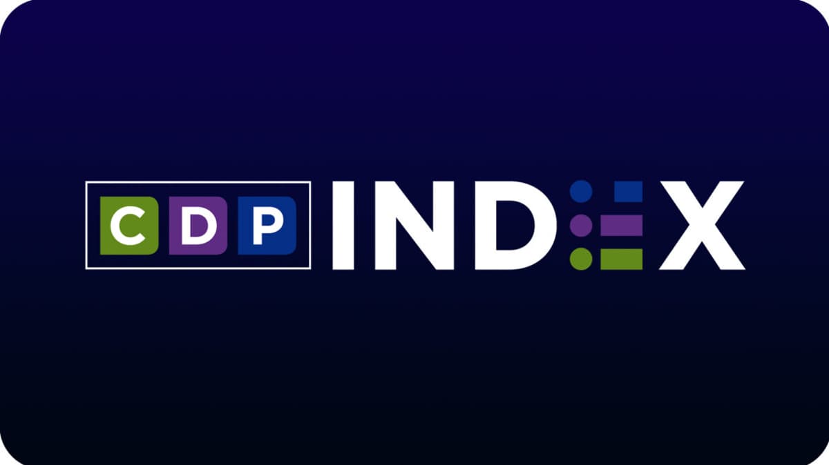 January CDP Index: High-Dollar Gifts, New Donors Fuel Standout Year for Membership Revenue